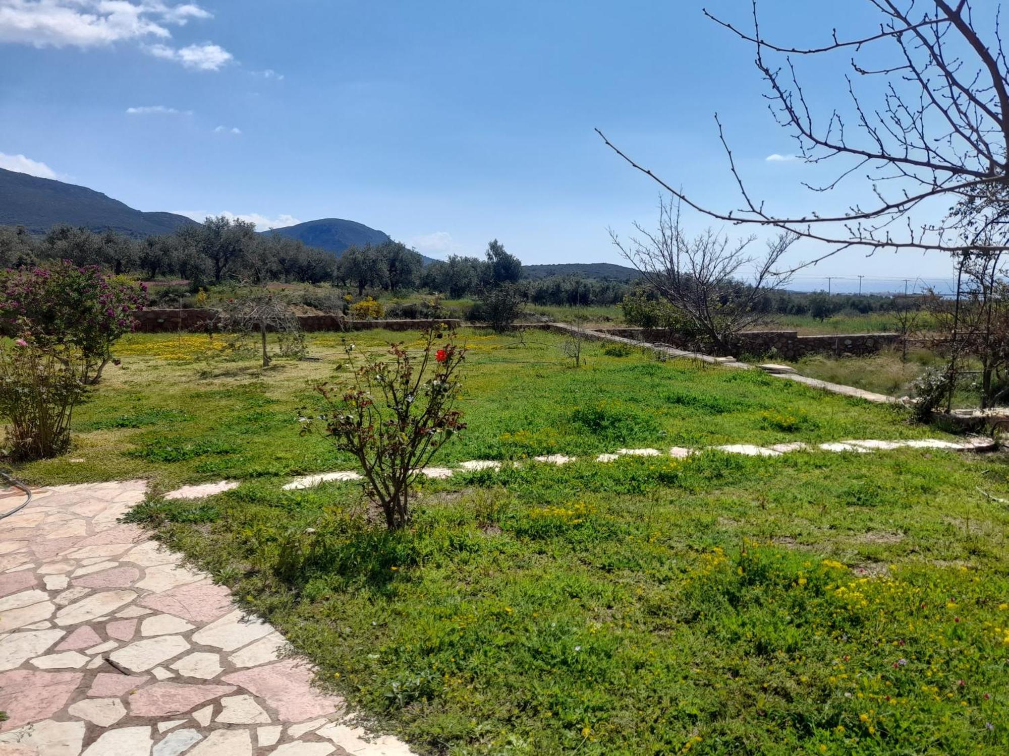 “Villa Othon-Leni” Paralia Demonias Exterior foto
