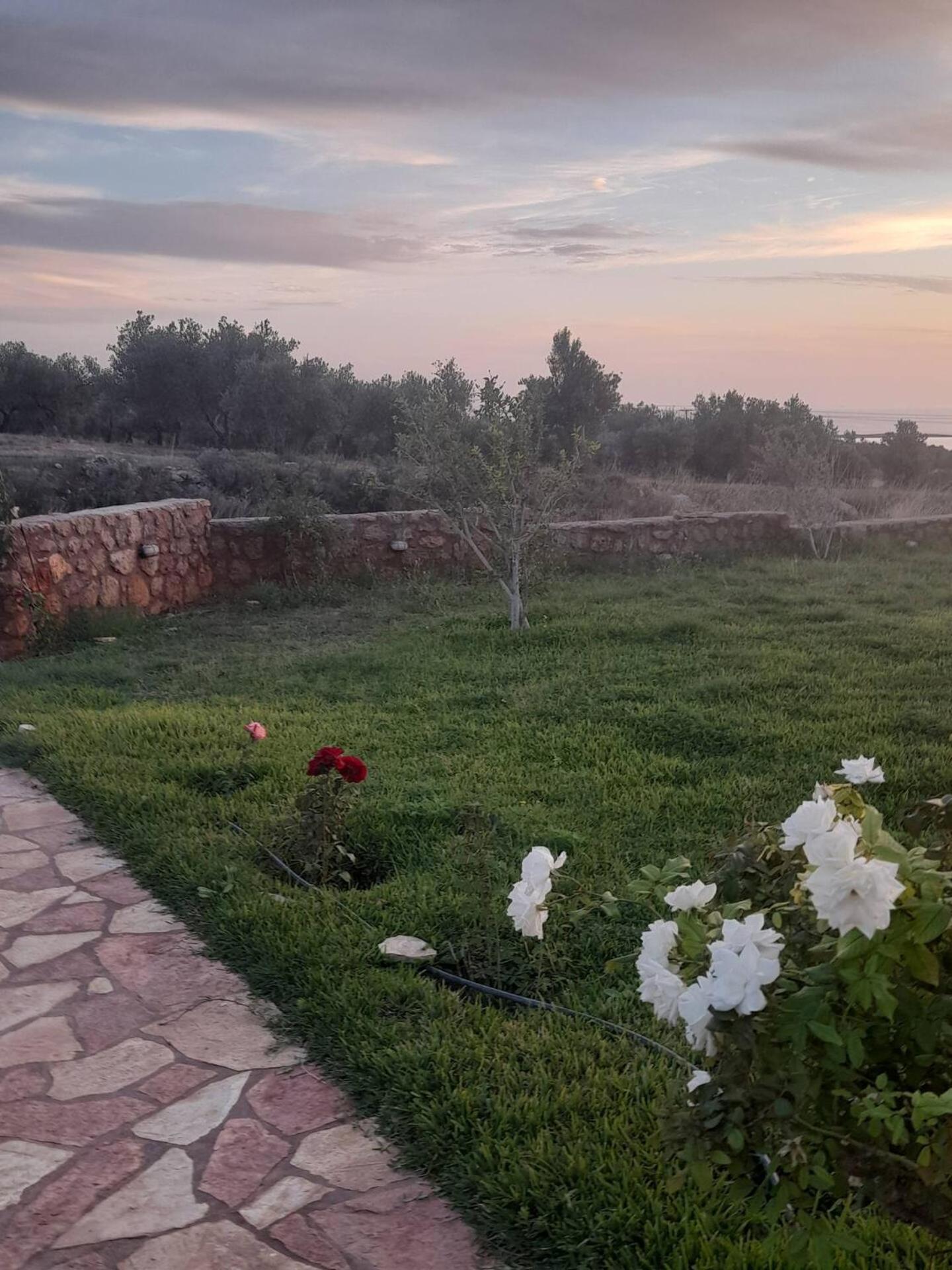 “Villa Othon-Leni” Paralia Demonias Exterior foto