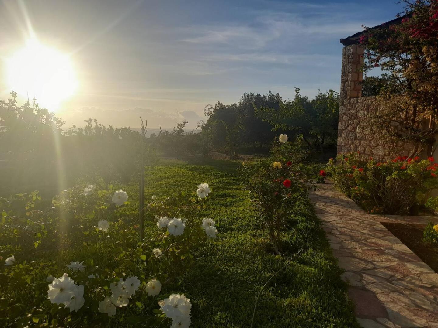 “Villa Othon-Leni” Paralia Demonias Exterior foto
